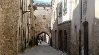 Anglés espina