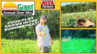 Summer Giant Annual Deer Mix - Food Plot Seed Deer Love It!