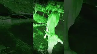 The horror scene #shorts #ghost #youtubeshorts #ytshorts #creepy #ghostmovie #bhootmovie #bhoot