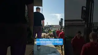 #shorts  🚚Загрузка на доставку🚚