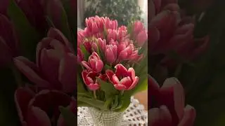 С праздником, милые женщины🥰