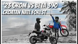 #MTBPlanB  '23 Beta 390 vs Honda Grom dual sporting vs wildfire at Croatan National Forest