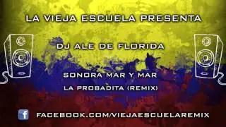 SONORA MAR Y MAR - LA PROBADITA [REMIX] - (DJ ALE DE FLORIDA)