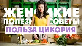 ЦИКОРИЙ | самый целебный и полезный напиток