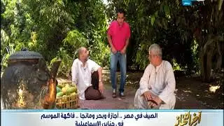 تعرف على أكثر من 30 صنف من المانجو وأفضل أصنافها وتاريخ زراعتها في مصر |أخر النهار
