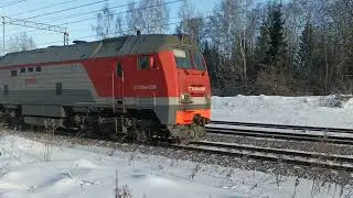 Витязь "верхом" зимой