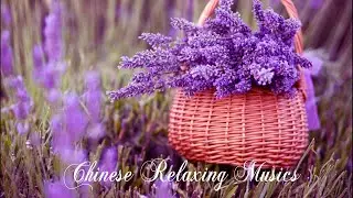 20首你一定喜歡的恰恰輕音樂 放鬆解壓 Chinese Relaxing Music- Relaxing Musics