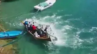 Вот это Улов