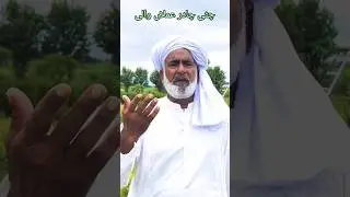 Chiiti Chadar Amlan Wali // Saif ul Malook