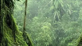15 Creepy Discoveries in Congo That Terrified the World