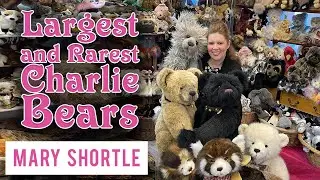 Largest and Rarest Charlie Bears
