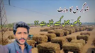 Shugar Mill Ka Visit Cheeni Kaisy Banti Hai Daikhin?🙃 #aslibhaiya #vlogs #trending