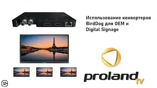 Конвертеры BirdDog для OEM и Digital Signage проектов | Конвертация  NDI сигнала