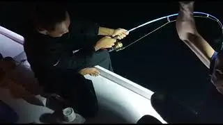 Reel Penn tangguh hadapi dogtooth || Mantap Double Strike