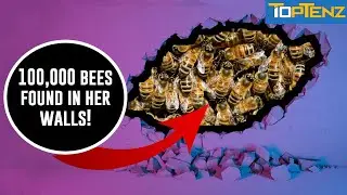 10 Unusual Things Found in Walls