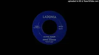 JORGE DARDEN - Alone again