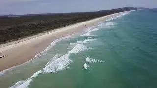 Mouse Bux Oct 2019. Noosa North Shore.