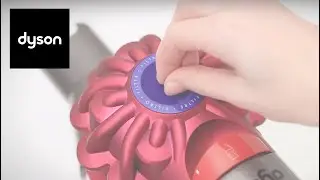 How to wash your Dyson V7™ cord-free vacuum's filter