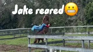 Riding Jake in The fields gone wrong…