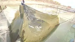 fish farm
