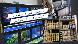 و أخيرا و بعد غياب طويل ها هو فيديو عامر بالسلعة و الاسماك و الاحواض المستوردة و التوصيل المغرب كامل