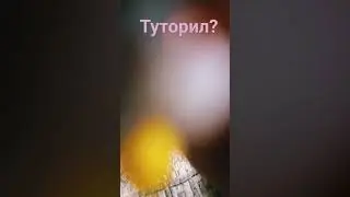 29 августа 2023 г.