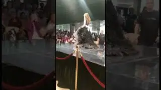Fashion Week Moscow New Kids 🔥Бренд LeBukle 