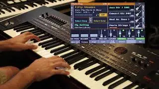 Factory DNC Guitars & AC. Bass (Korg Pa4x) - A MoonDance Rendition