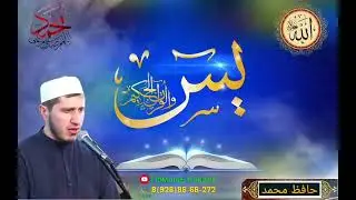 Сура Ясин / Медитация / Шум дождя и пение птиц / Хафиз Мухаммад