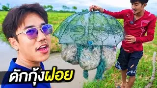 เซียนมือทอง วิธีดักกุ้งฝอย หมาน ๆ