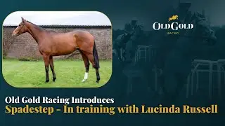 Introducing Spadestep | A point-to-point winner, now in training with Lucinda Russell.