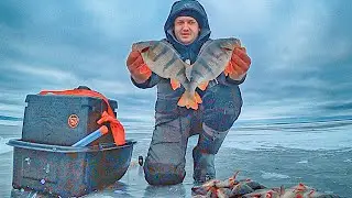CATCHING A LARGE PERCH ON A BALANCER! Winter Fishing 2024
