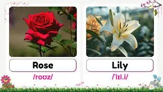 Learn 100+ Flowers Vocabulary In English | Flower Names in English With Pictures | Popular Flowers