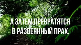 Сура Аль-Вакы'аh || Смысловой перевод 1-9 аятов