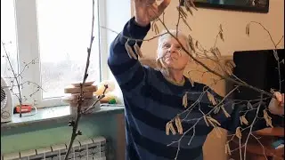 ОБРЕЗКА САДА