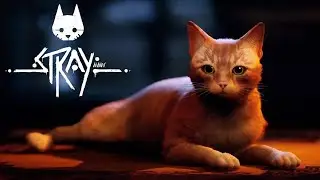 ネットで大流行中の「 自分が猫になって 」危険な世界を冒険するゲーム『 Stray 』#2