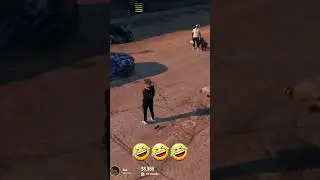 Весёлые животные на GRAND RP #shorts #gta