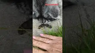 Семён приносит домой всё, что движется 🐛.