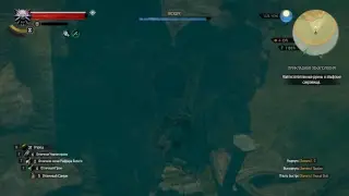 The Witcher 3