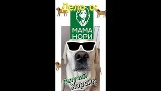Хорсик одобряет Мама Нори:) Теперь мы идем к ВАМ!!! Пишите, что будем обзорить?:)