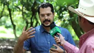 Cuidado del Suelo