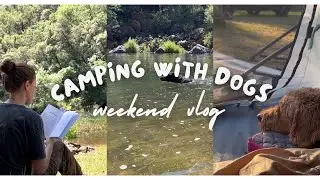 Camping with Dogs Weekend Vlog | Campsite Fail & Last-Minute Pivot
