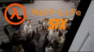 Half-Life memes YLYL: Cat edition