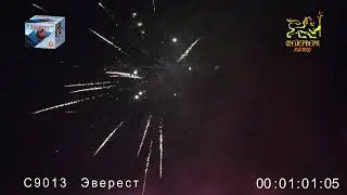 C9013 Эверест 2х 49 зарядов