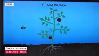 B1932   Čovjek i Priroda   Biljke   Edita Shehu