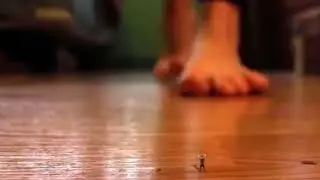 crush giantess    