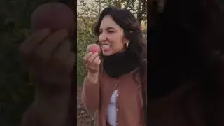 Apple picking 🍎🫶🏼✨ 