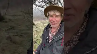 организация конного дела в заброшенном (стёртом в период укрупнения) селе Крыма