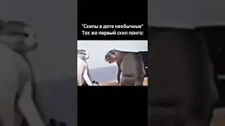 ПОДПИСЫВАЙТЕСЬ,МЕМЫ ПО ДОТЕ КАЖДЫЙ ДЕНЬ #дота #дота2 #dota2