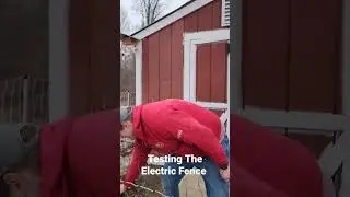 Testing My Electric Fence By Hand